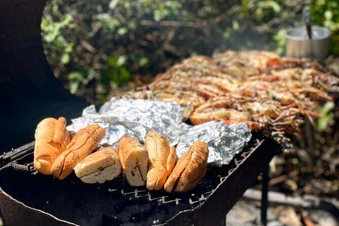 Snorkel - Lobster Lunch Cruise to Bird Island and Paradise Reef - Final Thoughts