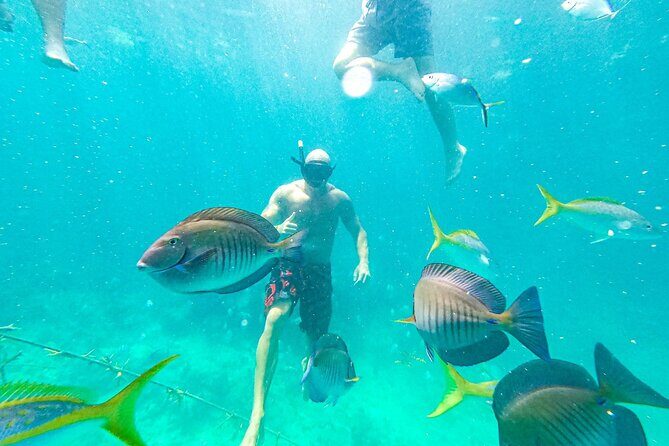 Snorkel Lovers for All Ages & Premium Seafood Lunch in Punta Cana - Frequently Asked Questions