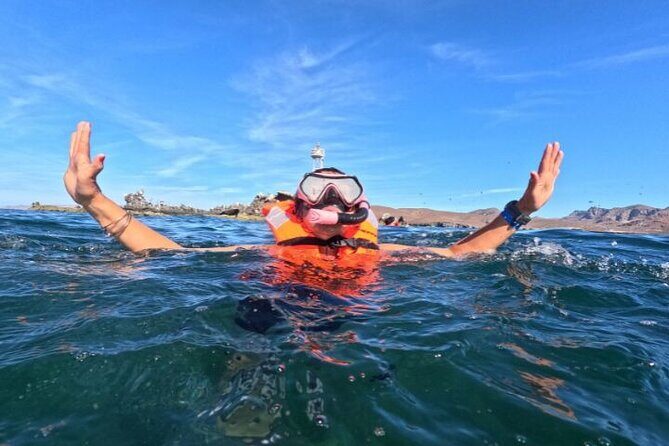 Snorkel or Sunset in La Paz aboard a 42 feet Yacht - Key Points