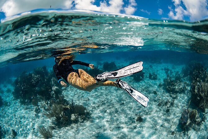 Snorkel Rental 24h, discover Tenerifes Ocean on your own! - Snorkel Rental 24h, discover Tenerifes Ocean on your own!