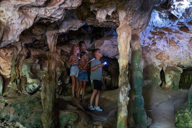 Snorkel Safari Tour - Practical Details and Value