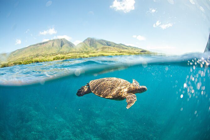 Snorkel Sail Adventure off Ka'anapali Beach, Maui - An In-Depth Look at the Maui Snorkel Sail Adventure
