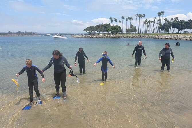 Snorkel San Diego's Mission Bay with a Marine Biologist - Who Should Consider This Tour?