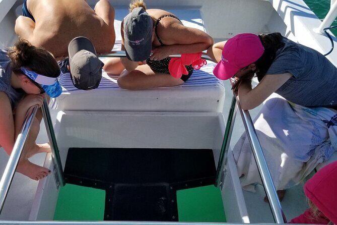 Snorkel, Sandbar & Dolphin Excursion - Why This Tour Stands Out