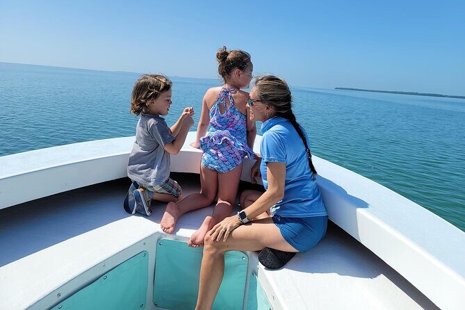 Snorkel, Sandbar & Dolphin Excursion - The Sum Up: Is It Worth It?