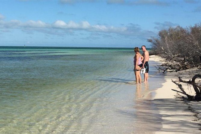 Snorkel, Sandbar & Dolphin Excursion - FAQ