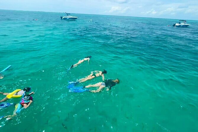 Snorkel, Sandbar & Sunset Cruise Trifecta in Marathon - FAQ