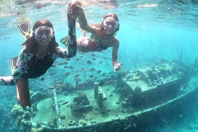 Snorkel Shore Trip with Scubaçao "East Point" - Snorkel Shore Trip with Scubaçao "East Point" — A Deep Dive into Curacao’s Marine Life