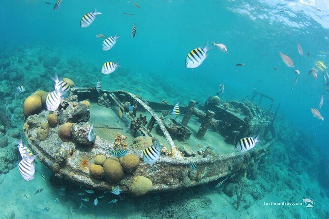 Snorkel Shore Trip with Scubaçao "East Point" - Transportation, Duration, and Practical Details