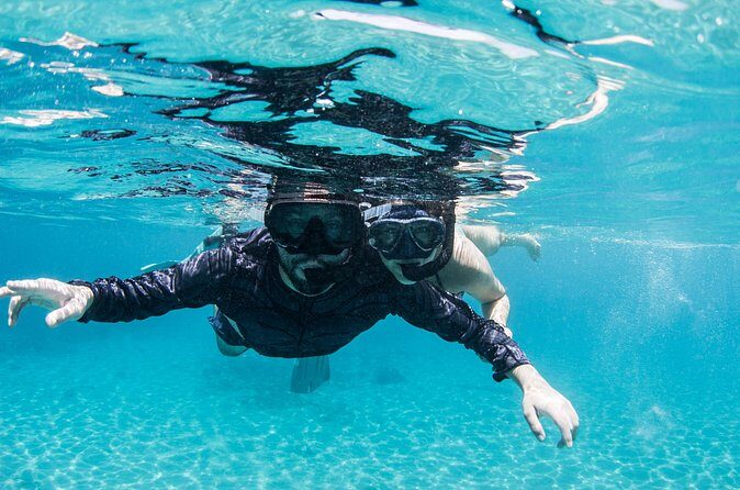 Snorkel Shore Trip with Scubaçao "East Point" - Who Should Consider This Tour?