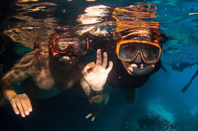 Snorkel Shore Trip with Scubaçao "East Point" - The Sum Up: Why This Tour Could Be Your Best Choice