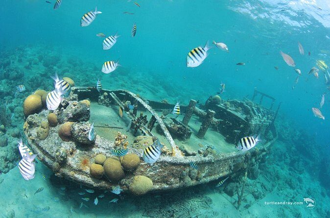 Snorkel Shore Trip with Scubaçao "East Point" - FAQ