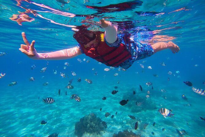 Snorkel St. John Tour from Sapphire and Margaritaville - What Travelers Are Saying