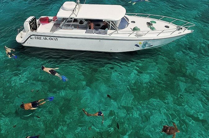 Snorkel St. John Tour from Sapphire and Margaritaville - Final Thoughts: Is This Tour Right for You?