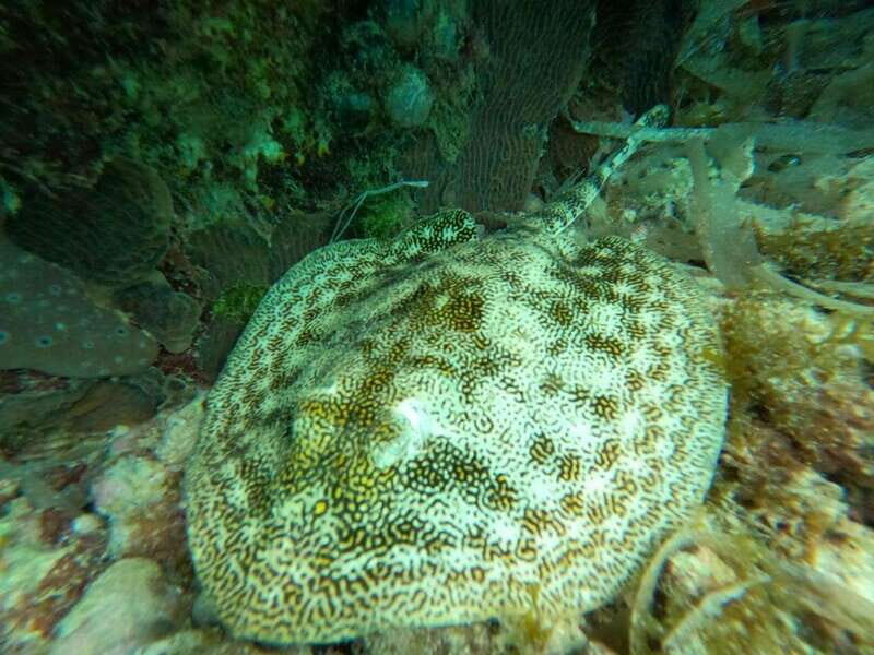 SNORKEL & TEQUILA TASTING - Practical Details and Considerations