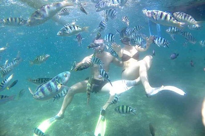 Snorkel the Beautiful Blue Lagoon - The Details of a Day at Blue Lagoon Beach