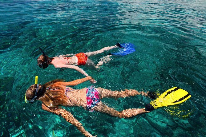 Snorkel the Perfect Tropical Isle Silk Caye with Turtles, Rays and Sharks - The Sum Up