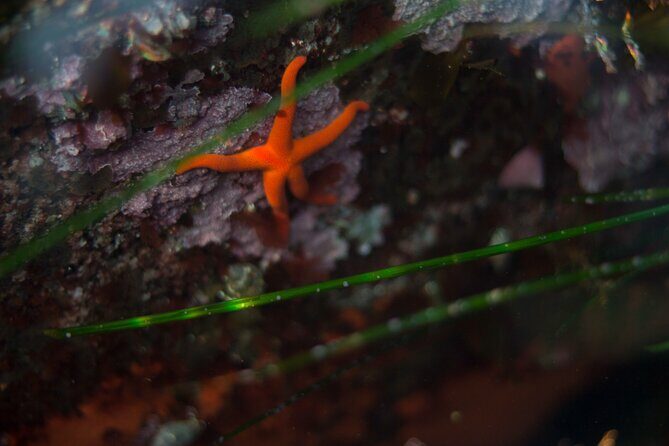 Snorkel Tour at Magic Island - The Sum Up
