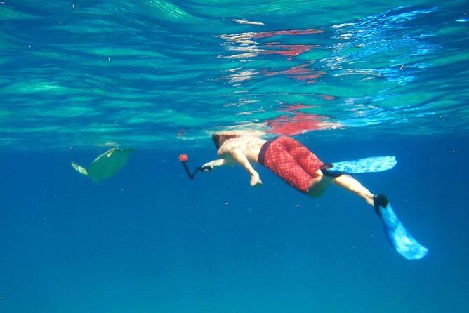 Snorkel Tour - Final Thoughts