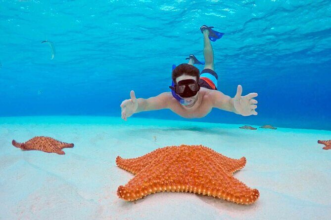 Snorkel Tour in Cozumel - An In-Depth Look at the Cozumel Snorkeling Experience