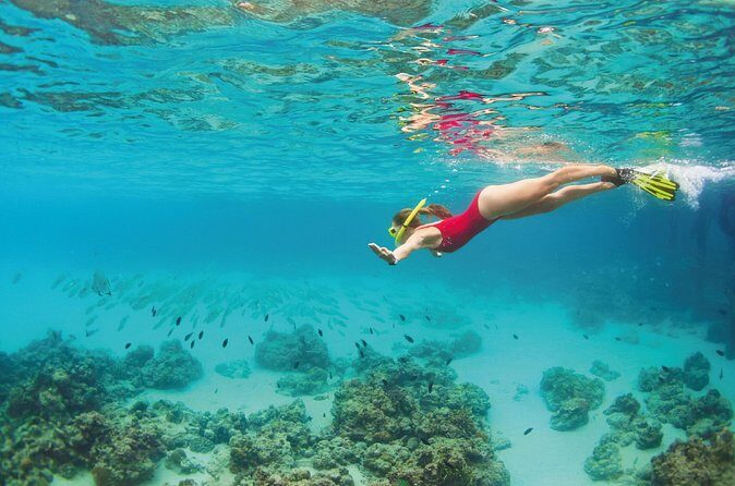 Snorkel Tour in Cozumel - Frequently Asked Questions