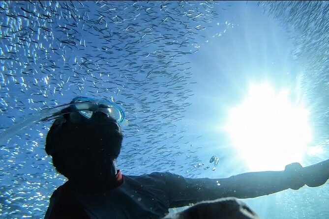 Snorkel Tour in Paraggi Bay - Snorkel Tour in Paraggi Bay