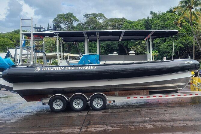 Snorkel Tour to Captain Cook Monument Kailua-Kona, Big Island - A Closer Look at the Experience