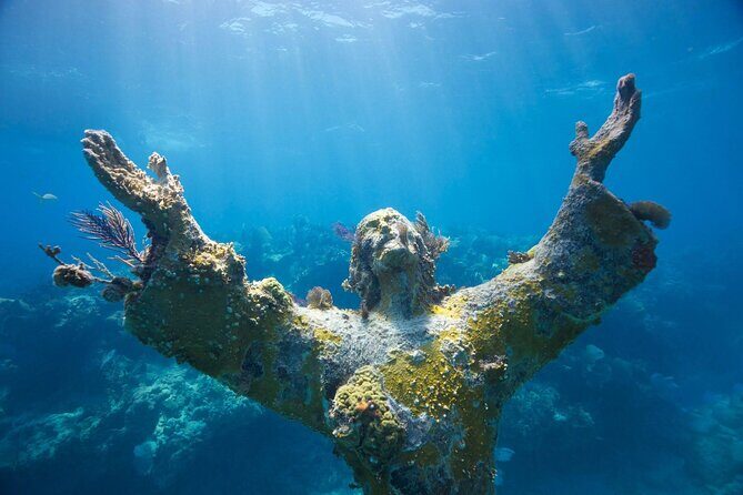 Snorkel Tour - Visit 2 Shallow Reefs John Pennekamp State Park - A Detailed Look at the Snorkel Tour Experience