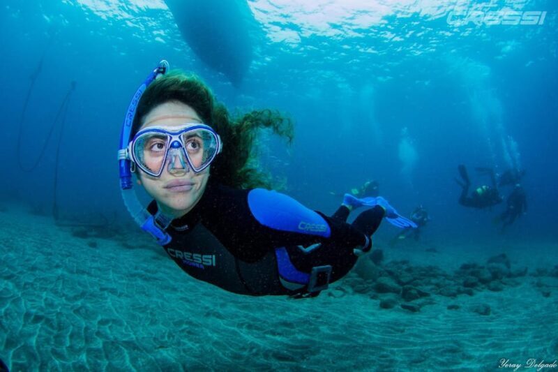 Snorkel tour Why not? - Key Points