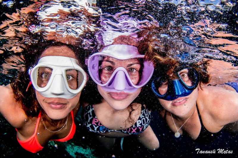Snorkel tour Why not? - What’s Included and How Does It Work?