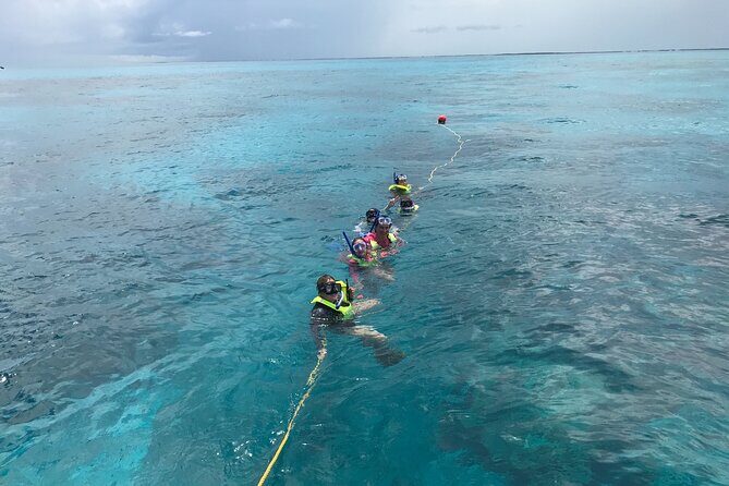 Snorkel Tours to Key Largo reef for up to 6 people-INCLUDES GEAR! - A Deep Dive into the Key Largo Snorkel Adventure