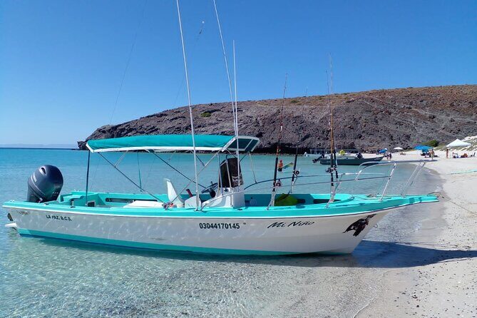 Snorkel with whale sharks includes equipment & transportation - Frequently Asked Questions