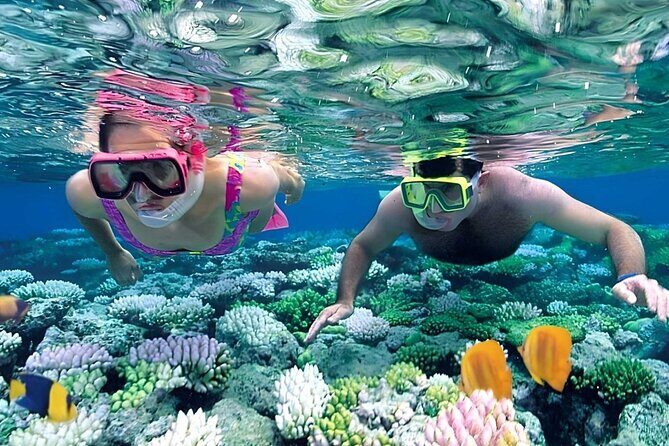Snorkeling 4 Spot With Manta Bay Or Optional Land Trip - Who Should Consider This Tour?