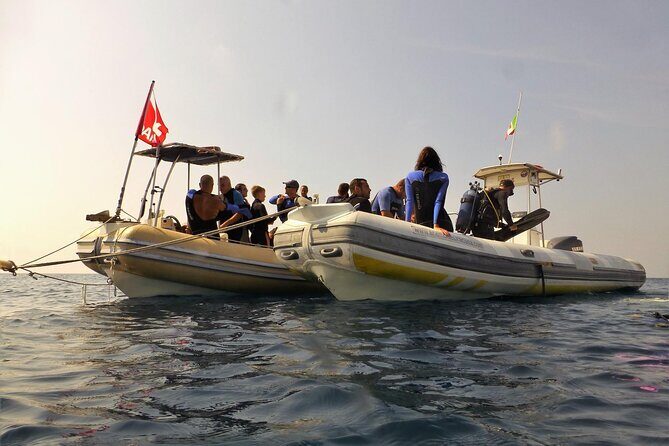Snorkeling activities in Syracuse - Why This Tour Works for You