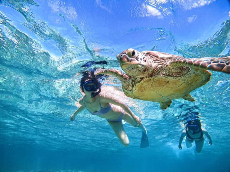 Snorkeling Activity in Okinawa Miyako Japan - Key Points