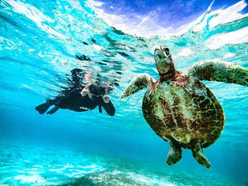 Snorkeling Activity in Okinawa Miyako Japan - An In-depth Look at the Miyakojima Snorkeling Tour