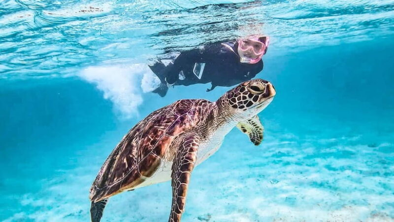 Snorkeling Activity in Okinawa Miyako Japan - FAQ