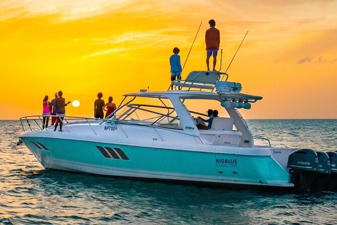 Snorkeling Activity on Turks and Caicos Islands - The Value and Practicalities