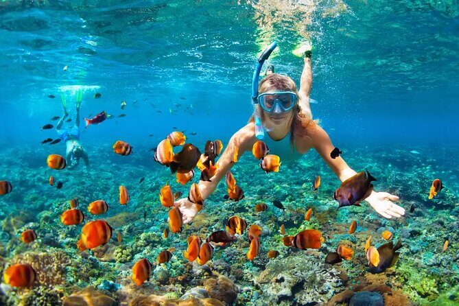 Snorkeling activity with Boat ride from Montego Bay - Value and Practicality