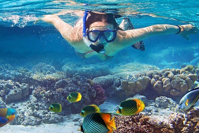 Snorkeling activity with Boat ride from Montego Bay - Who Should Consider This Tour?
