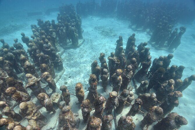 Snorkeling Adventure at the Cancun Underwater Museum - Key Points