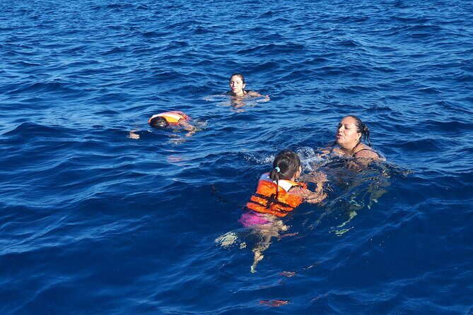 snorkeling adventure - An In-Depth Look at the Snorkeling Tour Experience