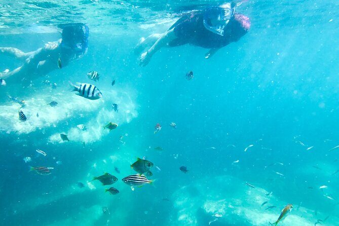 Snorkeling Adventure for Kids with Private Guide In Sydney - Practicalities and Logistics