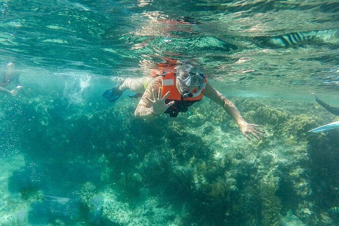 Snorkeling Adventure in Isla Mujeres - A Complete Look at the Snorkeling Adventure in Isla Mujeres