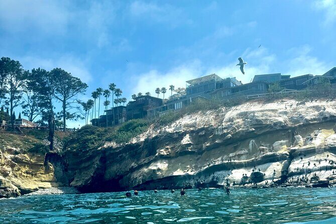 Snorkeling Adventure in La Jolla - Final thoughts