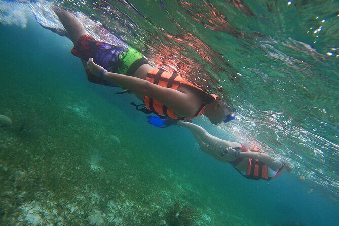 Snorkeling Adventure in Puerto Morelos Includes snack, Water and Round Trip. - In-Depth Review: What to Expect