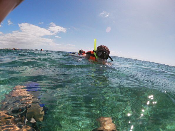 Snorkeling Adventure in Puerto Morelos Includes snack, Water and Round Trip. - Frequently Asked Questions