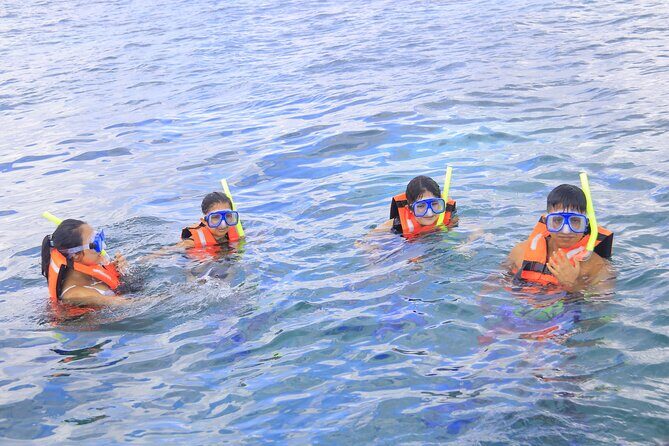 Snorkeling Adventure in Puerto Morelos Includes snack, Water and Round Trip. - Final Words