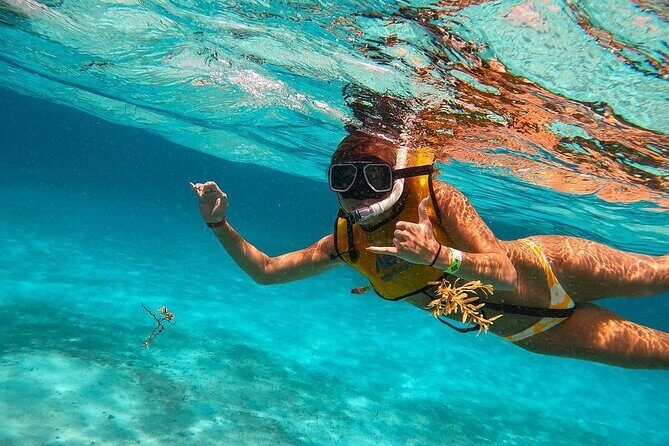 Snorkeling Adventure in Tulum Beach, Kaan Luum Lagoon and Cenote - Key Points