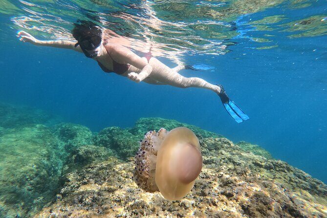 SNORKELING ADVENTURE | Pula Boat - The Itinerary Breakdown
